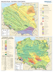 Geologia Polski - tektonika i stratygrafia