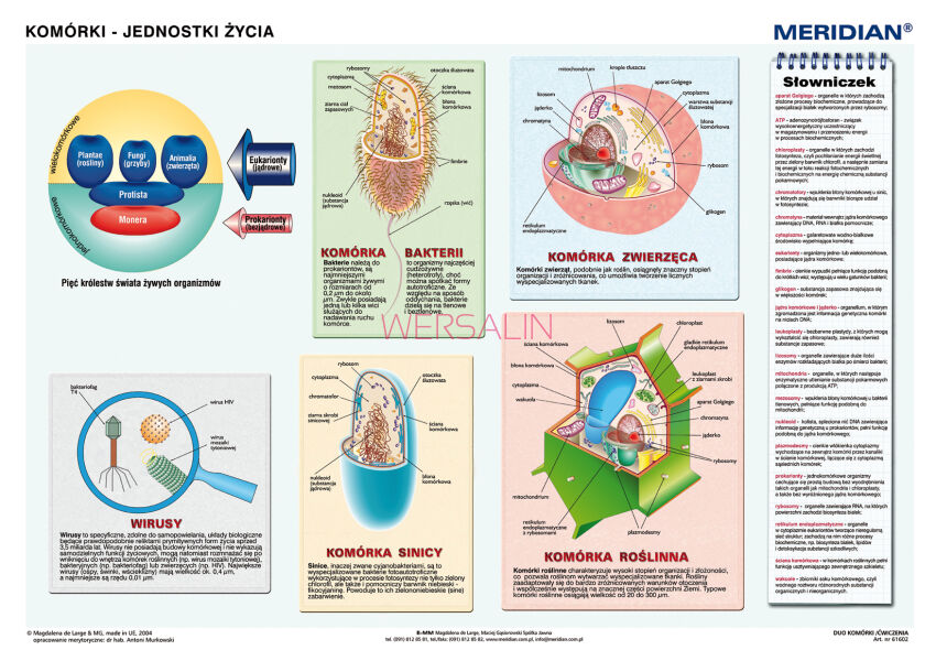 DUO Komórki - jednostki życia