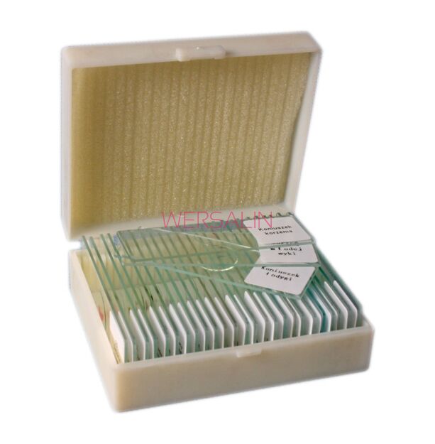 Preparaty mikroskopowe - Tkanki człowieka 20 szt