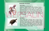 Parki narodowe i inne formy ochrony przyrody w Polsce. Atlas i przewodnik. - 4