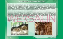 Parki narodowe i inne formy ochrony przyrody w Polsce. Atlas i przewodnik. - 9