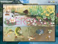 Multimedialny Atlas do przyrody dla Szkół Podstawowych. Polska i przyroda wokół nas - 2