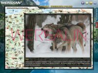 Multimedialny Atlas do przyrody dla Szkół Podstawowych. Polska i przyroda wokół nas - 3