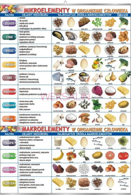 Mikroelementy i makroelementy w organizmie człowieka
