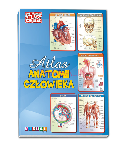 Atlas Anatomii Człowieka