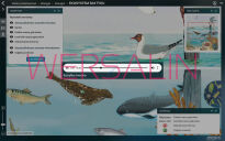 Meridian Prime Instytucja / Szkoła (abonament wielostanowiskowy) - 2