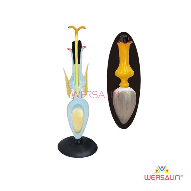 Model kwiatu słonecznika