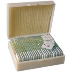 Preparaty mikroskopowe 25 szt.