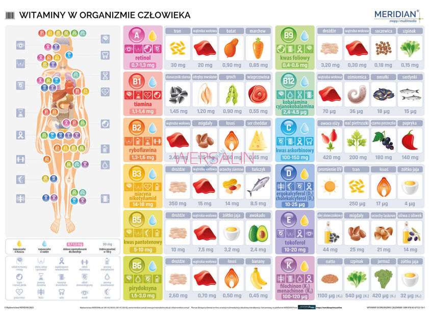 Witaminy w organizmie człowieka - ścienna plansza dydaktyczna