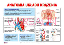 Pierwsza pomoc- Zestaw tablic dydaktycznych - 6