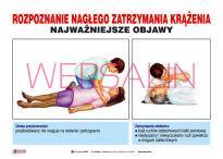 Pierwsza pomoc- Zestaw tablic dydaktycznych - 10