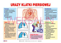 Pierwsza pomoc- Zestaw tablic dydaktycznych - 17
