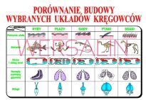 Zoologia, część II - Kręgowce - 6