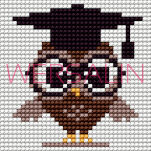 Kanwa - flaga Polski, kwiatek różne rodzaje - 13