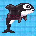 Kanwa - flaga Polski, kwiatek różne rodzaje - 8