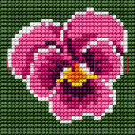 Kanwa - flaga Polski, kwiatek różne rodzaje - 9