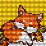 Kanwa - flaga Polski, kwiatek różne rodzaje - 11