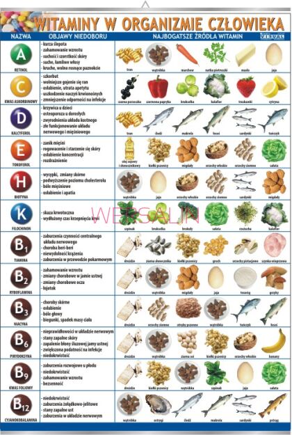 Witaminy w organizmie człowieka