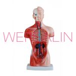 Tors człowieka MA-203 - 2