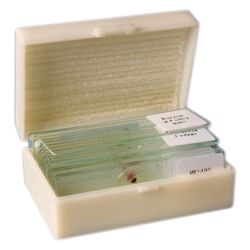 Preparaty mikroskopowe 15 szt.